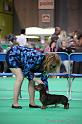 Crufts2011_2 837